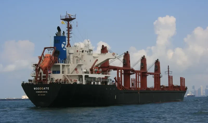 WOODGATE Bulk Carrier IMO 9493236 photo 2