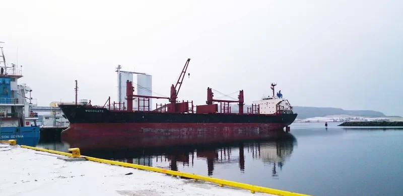 WOODGATE Bulk Carrier IMO 9493236 photo 3