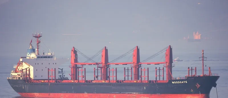 WOODGATE Bulk Carrier IMO 9493236 photo 4