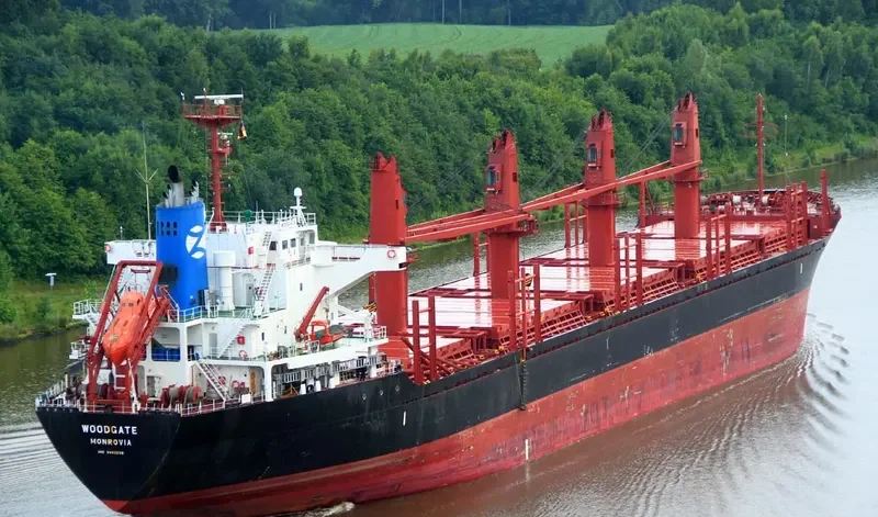 WOODGATE Bulk Carrier IMO 9493236 photo 8