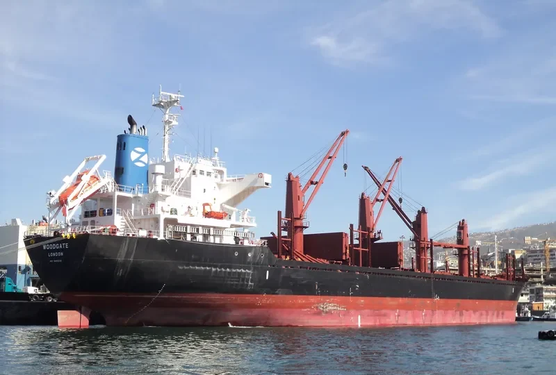 WOODGATE Bulk Carrier IMO 9493236 photo 9