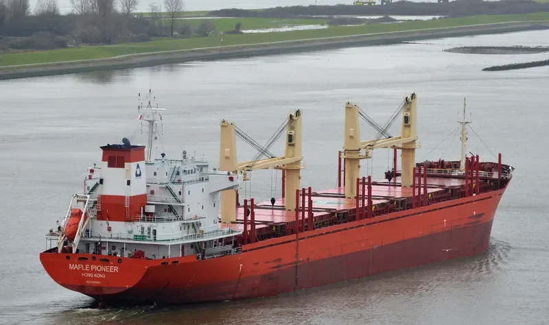 RUI YI 8 Bulk Carrier IMO 9493494
