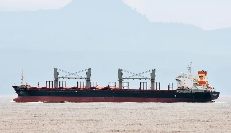 RUI YI 8 Bulk Carrier IMO 9493494 photo 3