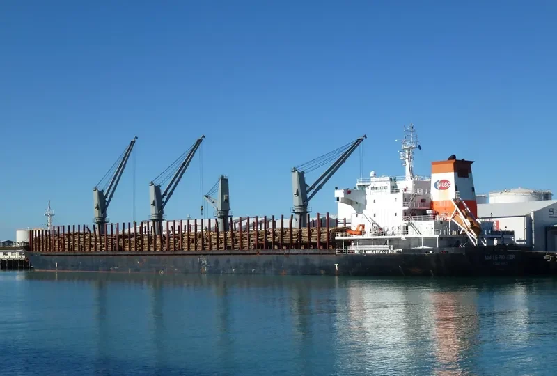 RUI YI 8 Bulk Carrier IMO 9493494 photo 6