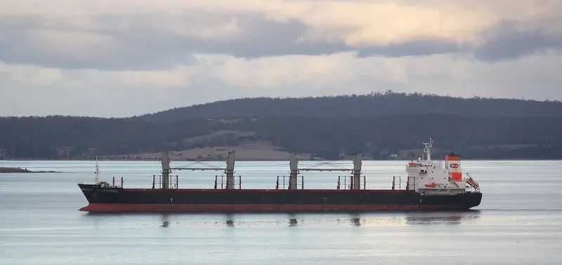 RUI YI 8 Bulk Carrier IMO 9493494 photo 8