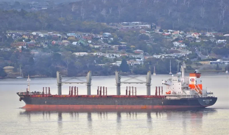 RUI YI 8 Bulk Carrier IMO 9493494 photo 9