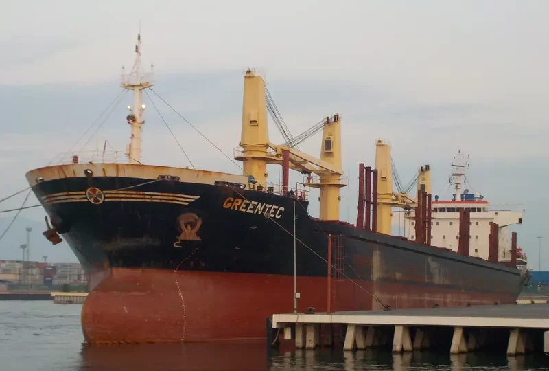 GREENTEC Bulk Carrier IMO 9493509 photo 2
