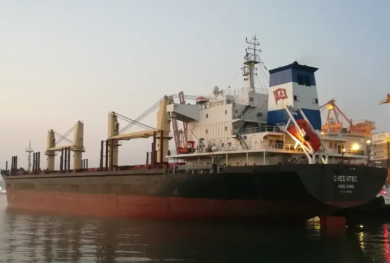 GREENTEC Bulk Carrier IMO 9493509 photo 3