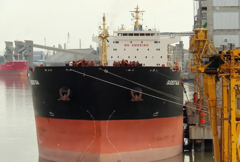 MAROULIO S Bulk Carrier IMO 9493511 photo 5