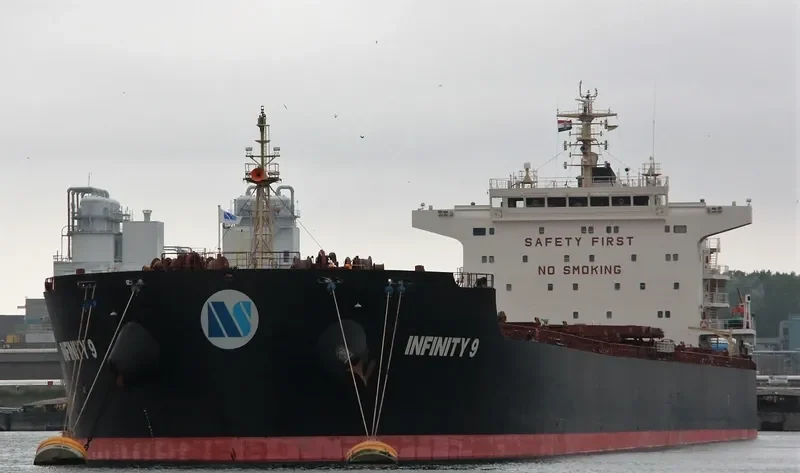 ISMENE Bulk Carrier IMO 9493535 photo 2