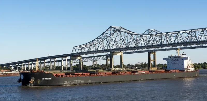 ISMENE Bulk Carrier IMO 9493535 photo 4