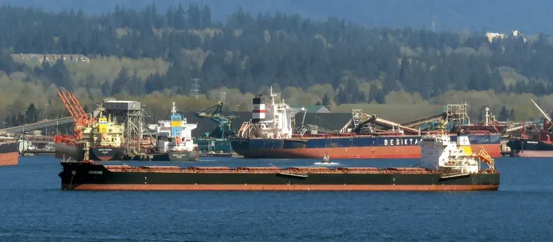 ISMENE Bulk Carrier IMO 9493535 photo 5