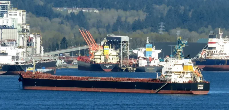 ISMENE Bulk Carrier IMO 9493535 photo 6
