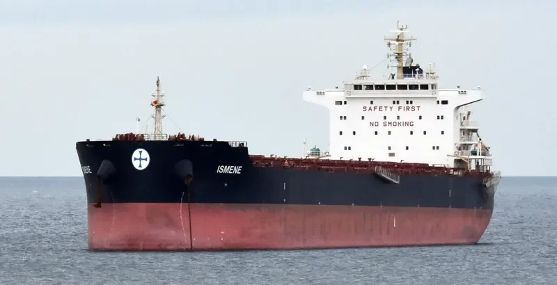 ISMENE Bulk Carrier IMO 9493535 photo 7