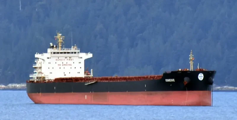 ISMENE Bulk Carrier IMO 9493535 photo 9