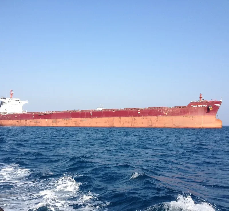 YUAN FU STAR Bulk Carrier IMO 9493585 photo 8