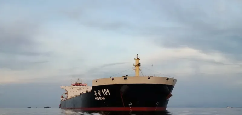 YUE DIAN 101 Bulk Carrier IMO 9493597 photo 4