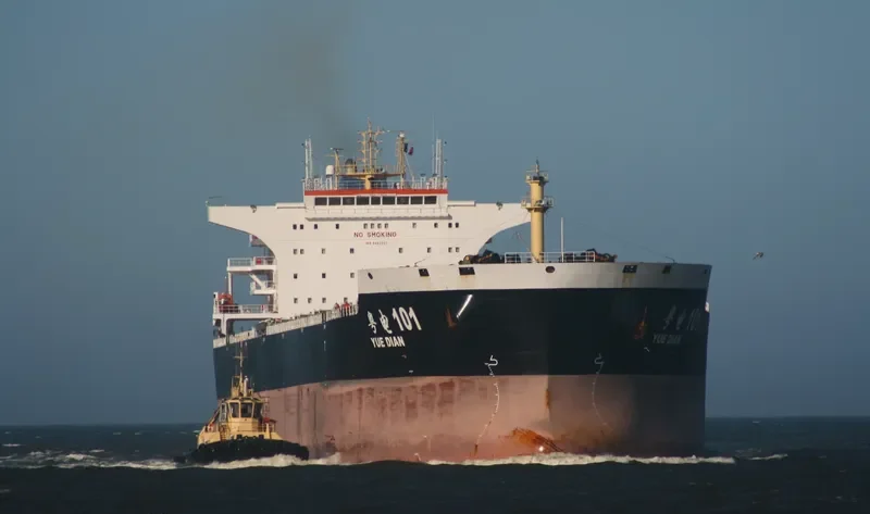 YUE DIAN 101 Bulk Carrier IMO 9493597 photo 8