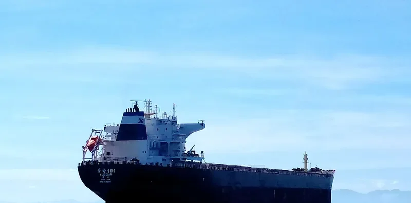 YUE DIAN 101 Bulk Carrier IMO 9493597 photo 9