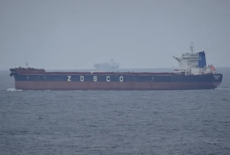 ESL SEALION Bulk Carrier IMO 9493614 photo 2