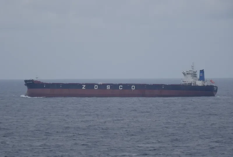 ESL SEALION Bulk Carrier IMO 9493614 photo 3