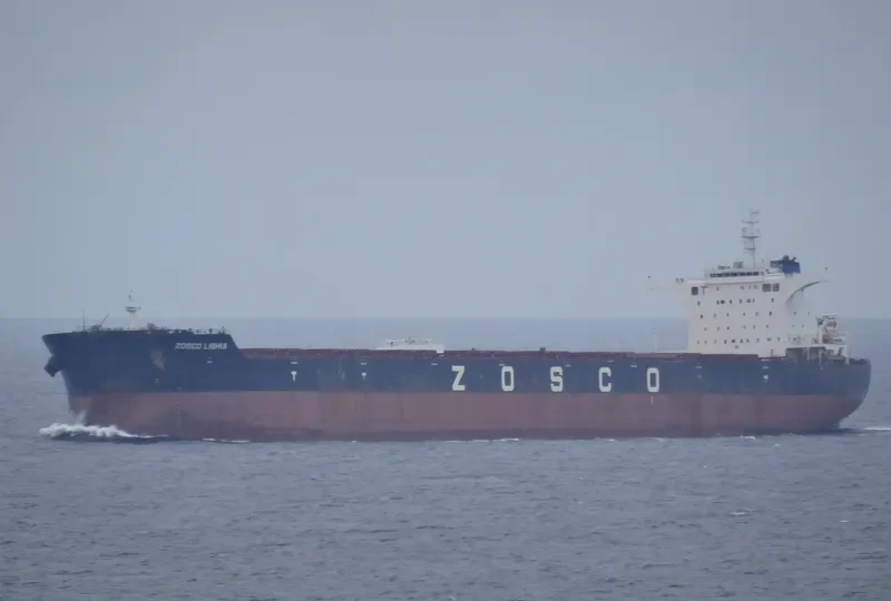 ESL SEALION Bulk Carrier IMO 9493614 photo 4