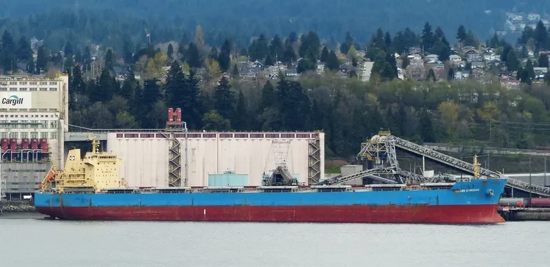 THE FINDER Bulk Carrier IMO 9493638 photo 4