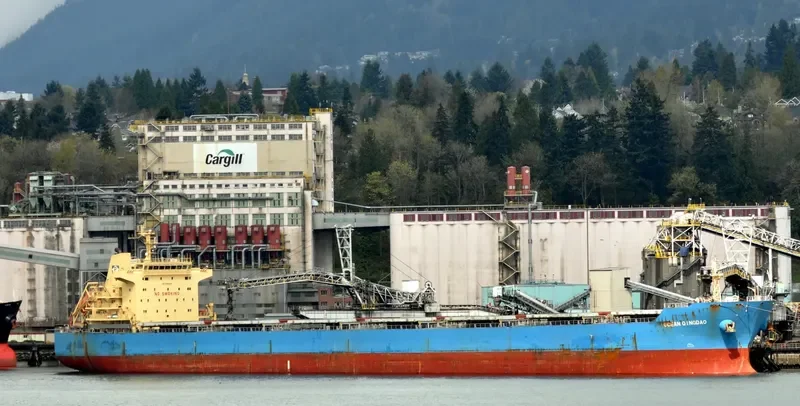 THE FINDER Bulk Carrier IMO 9493638 photo 5