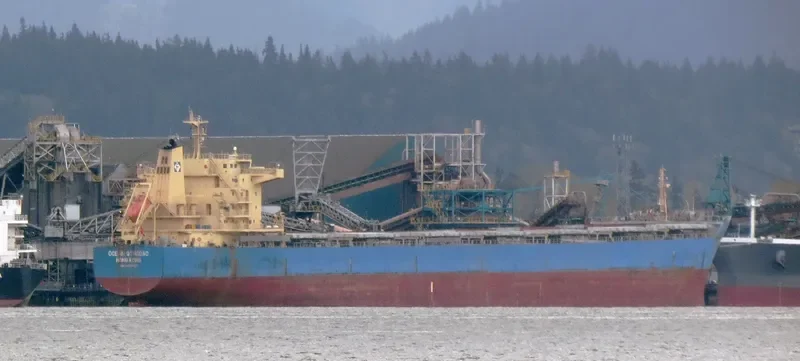 THE FINDER Bulk Carrier IMO 9493638 photo 6