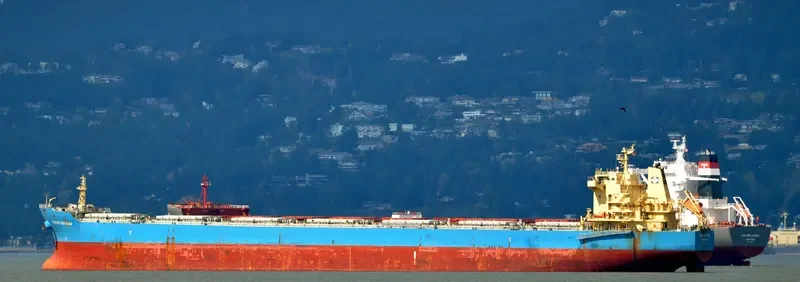 THE FINDER Bulk Carrier IMO 9493638 photo 7