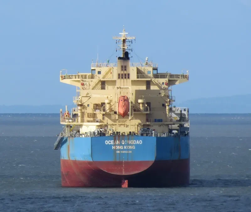 THE FINDER Bulk Carrier IMO 9493638 photo 8