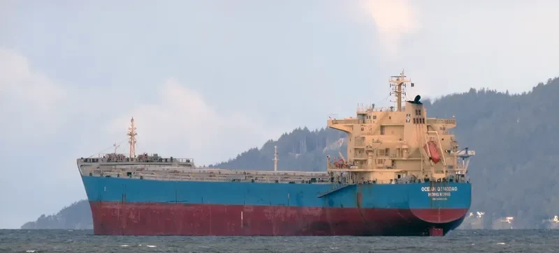 THE FINDER Bulk Carrier IMO 9493638 photo 9