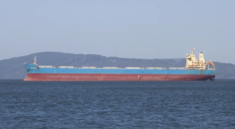 THE FINDER Bulk Carrier IMO 9493638 photo 10