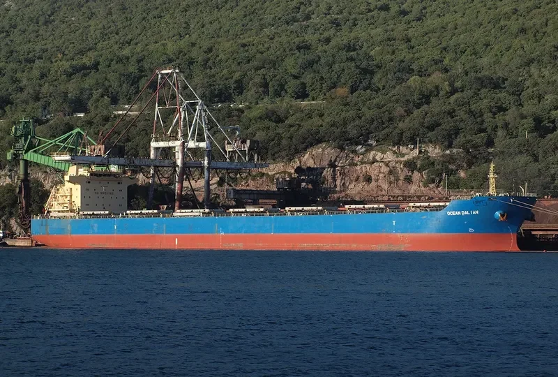 OCEAN DALIAN Bulk Carrier IMO 9493640