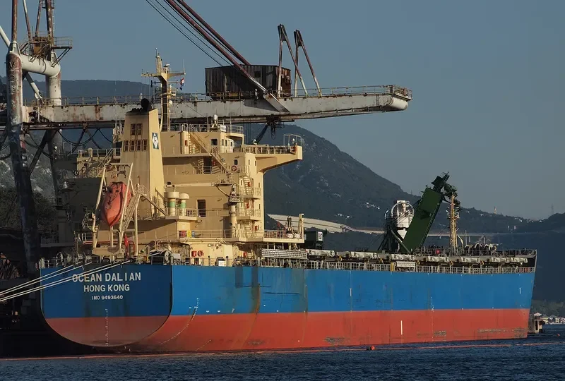 OCEAN DALIAN Bulk Carrier IMO 9493640 photo 4