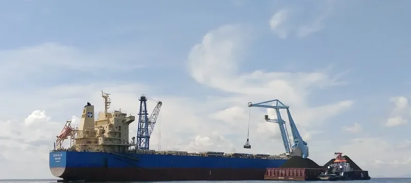 OCEAN DALIAN Bulk Carrier IMO 9493640 photo 9