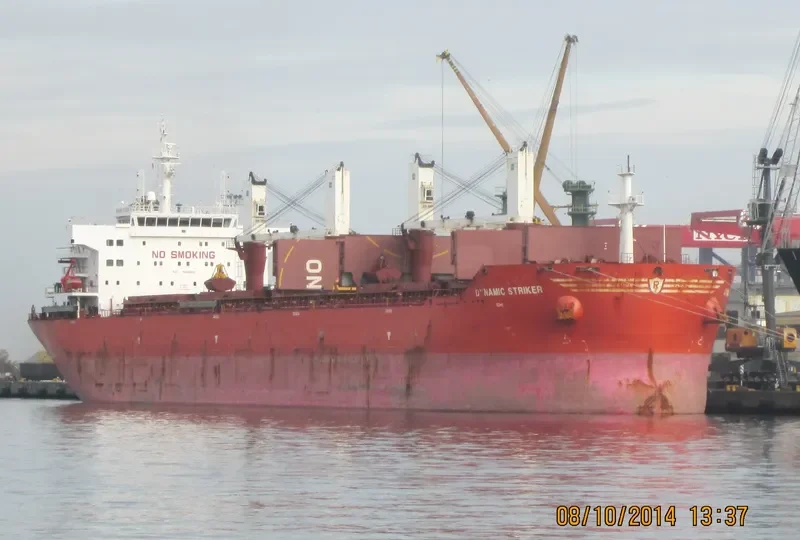 DYNAMIC STRIKER Bulk Carrier IMO 9493652 photo 4