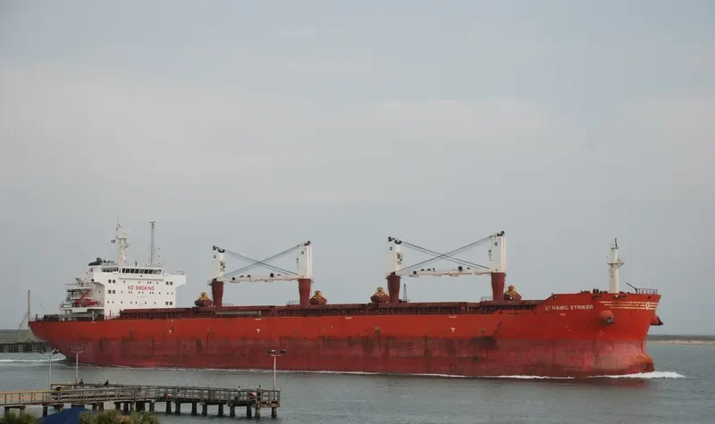 DYNAMIC STRIKER Bulk Carrier IMO 9493652 photo 6