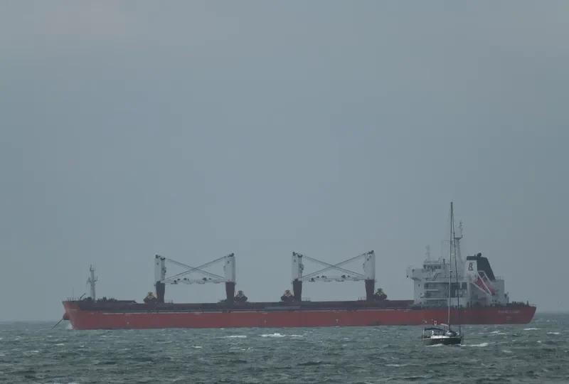 DYNAMIC STRIKER Bulk Carrier IMO 9493652 photo 8