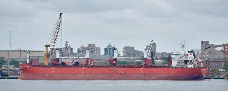 MAGIC STRIKER Bulk Carrier IMO 9493664