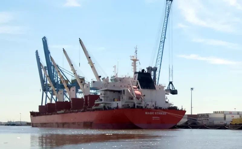MAGIC STRIKER Bulk Carrier IMO 9493664 photo 2