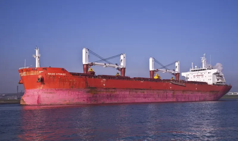 MAGIC STRIKER Bulk Carrier IMO 9493664 photo 3