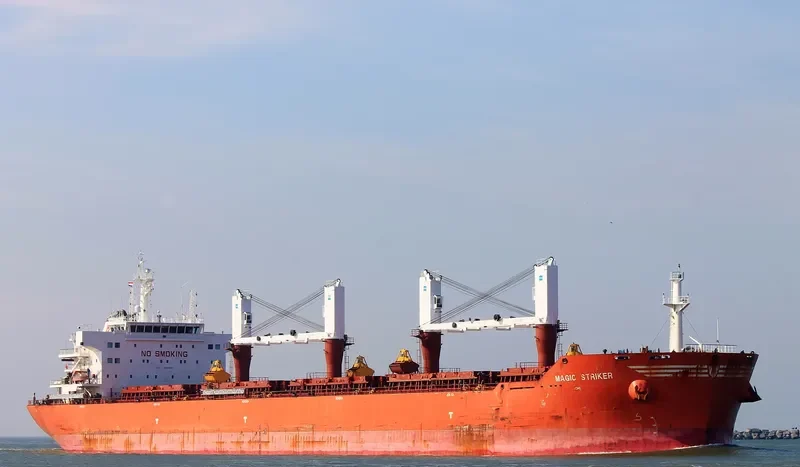 MAGIC STRIKER Bulk Carrier IMO 9493664 photo 5