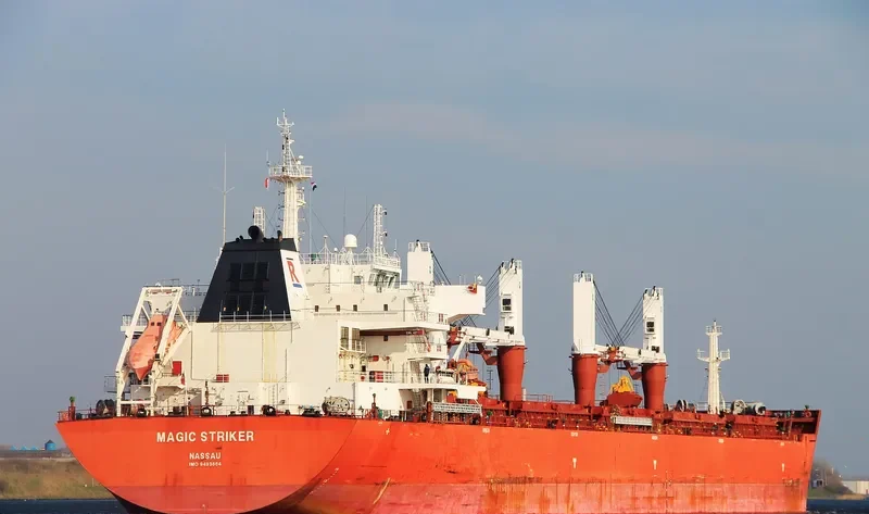 MAGIC STRIKER Bulk Carrier IMO 9493664 photo 7