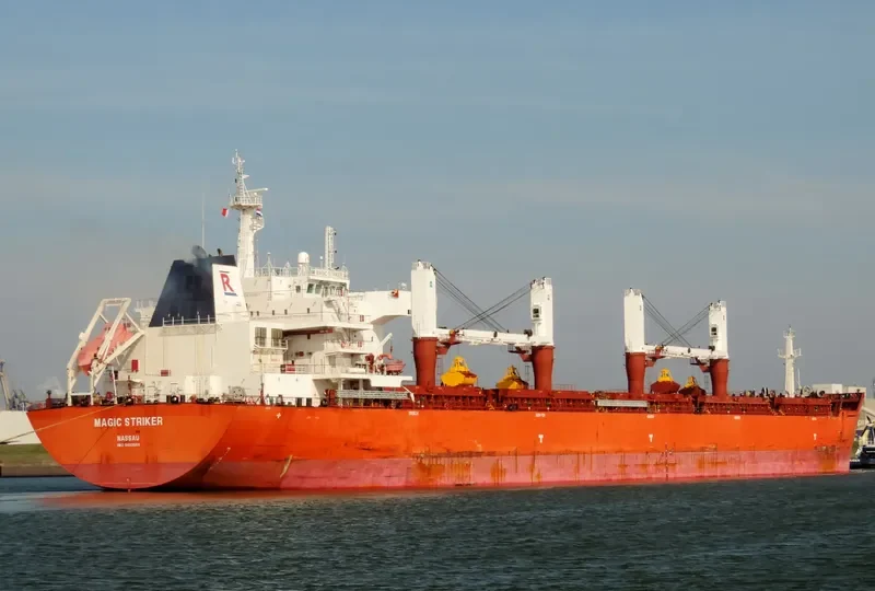 MAGIC STRIKER Bulk Carrier IMO 9493664 photo 9