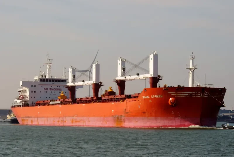 MAGIC STRIKER Bulk Carrier IMO 9493664 photo 10