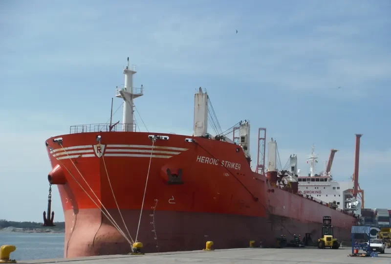 HEROIC STRIKER Bulk Carrier IMO 9493676 photo 5