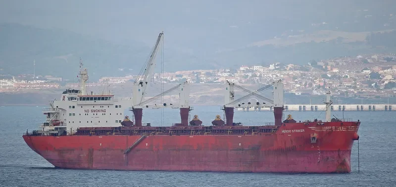 HEROIC STRIKER Bulk Carrier IMO 9493676 photo 7