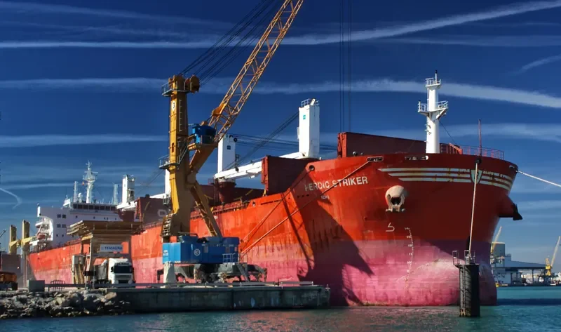 HEROIC STRIKER Bulk Carrier IMO 9493676 photo 9