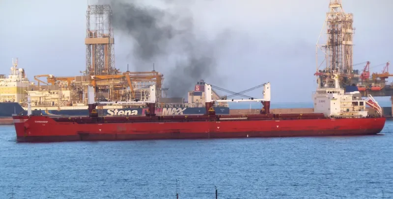 XIN HAI TONG 21 Bulk Carrier IMO 9493688